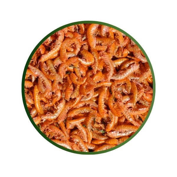130 gr - GAMMARUS ESSICCATI PER TARTARUGHE D'ACQUA