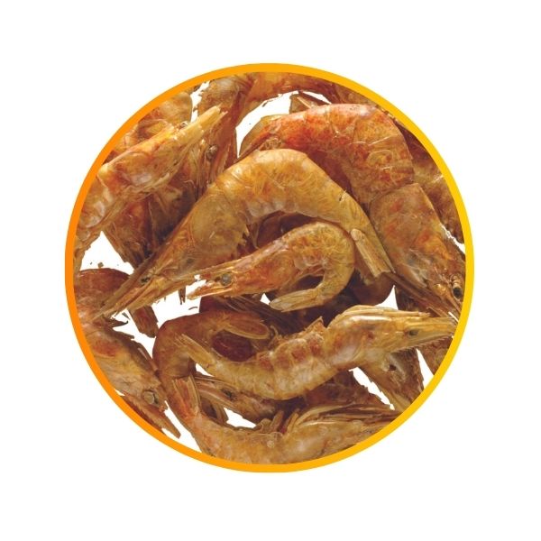 130 gr - GAMBERETTI XL ESSICCATI PER TARTARUGHE D'ACQUA