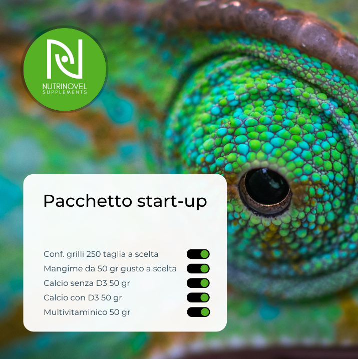 Pacchetto Start-up | AGGIUNGI AL CARRELLO E OTTIENI IL 20% DI SCONTO